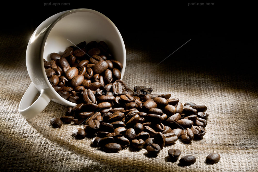 تصویر 4 از قیمت قهوه عربیکا نیکارا گوئه + خرید باور نکردنی